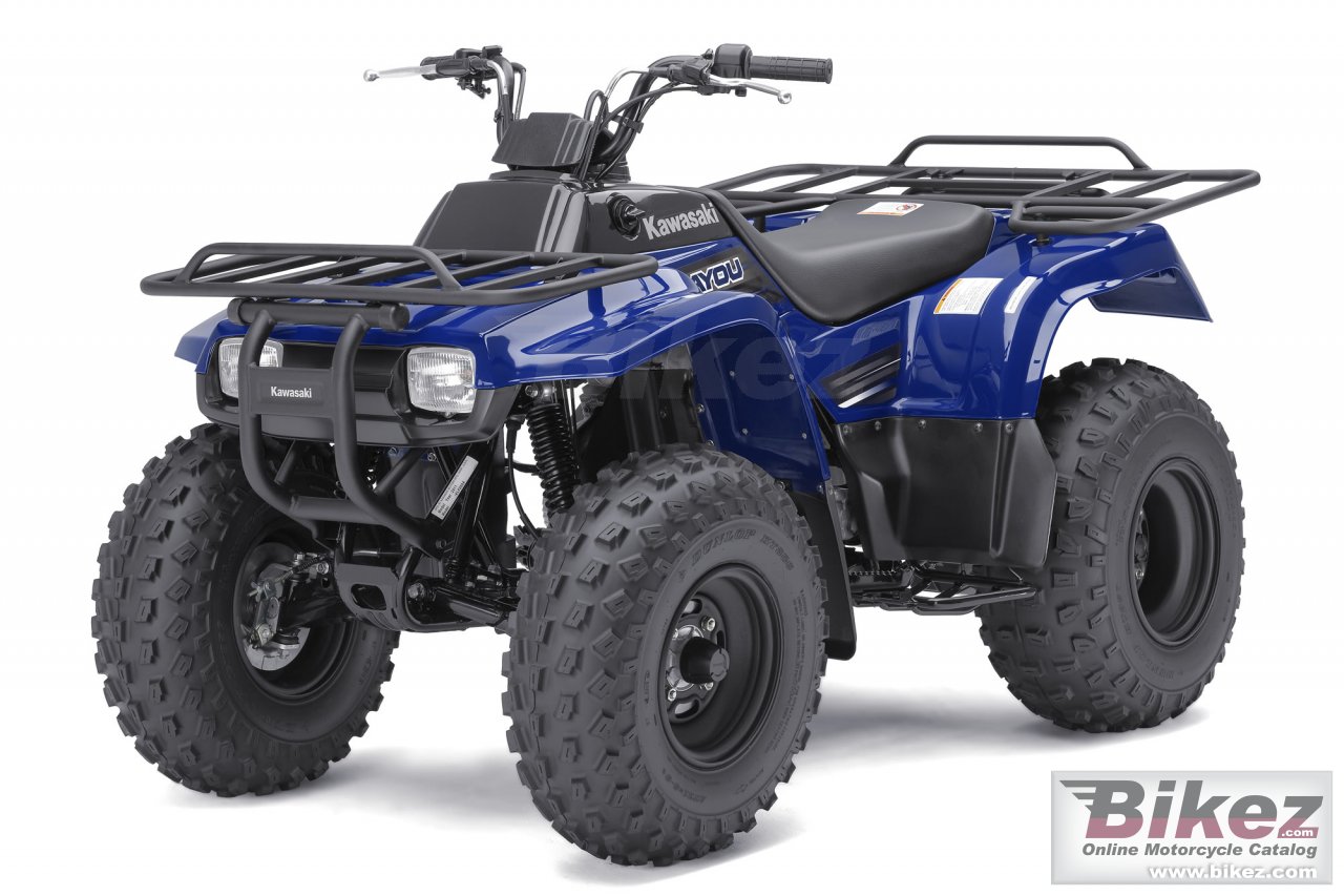 Big Kawasaki bayou 250 picture and wallpaper from Bikez.com